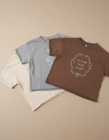 Fan Flat Lay AI image template preview