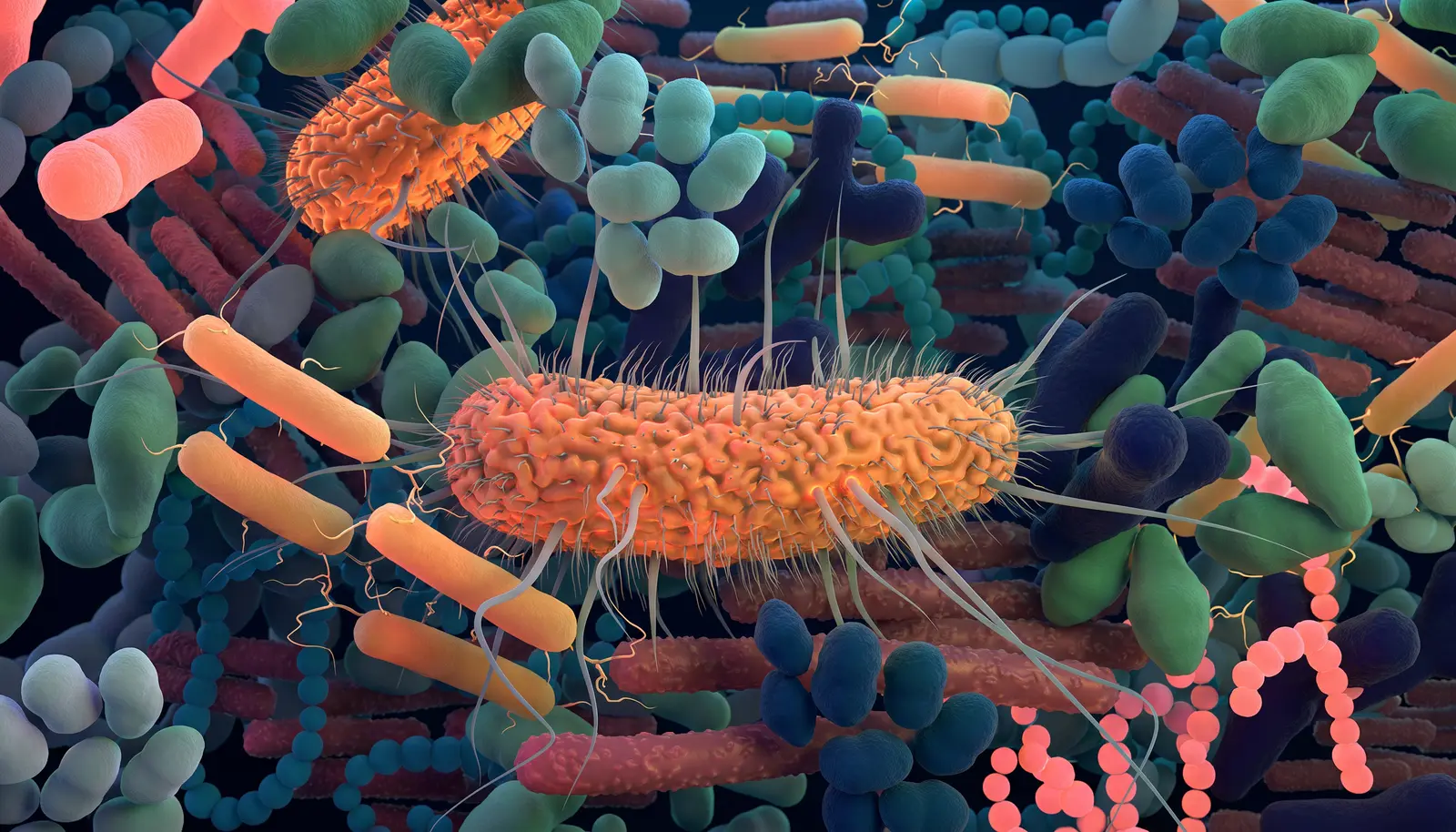 Colourful microscopic illustration of the gut microbiome, showing a dense community of diverse bacteria in orange, green, blue and pink