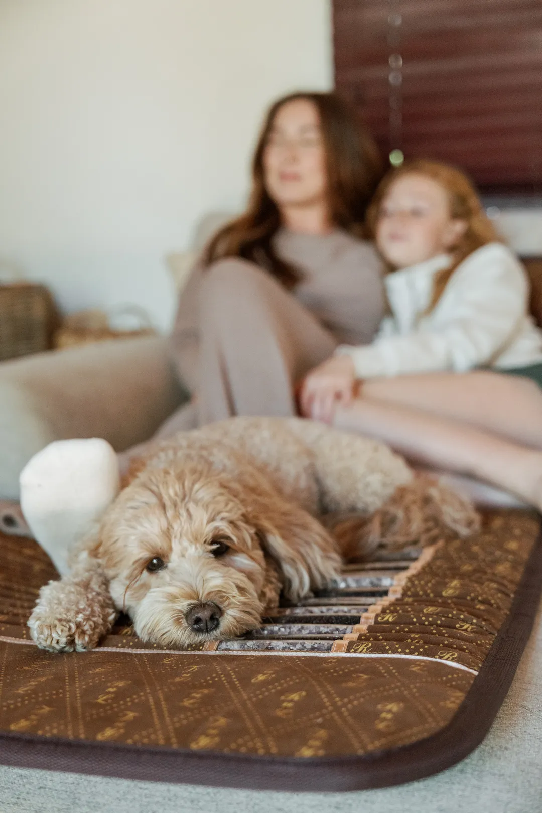 Dog resting on a BioMat
