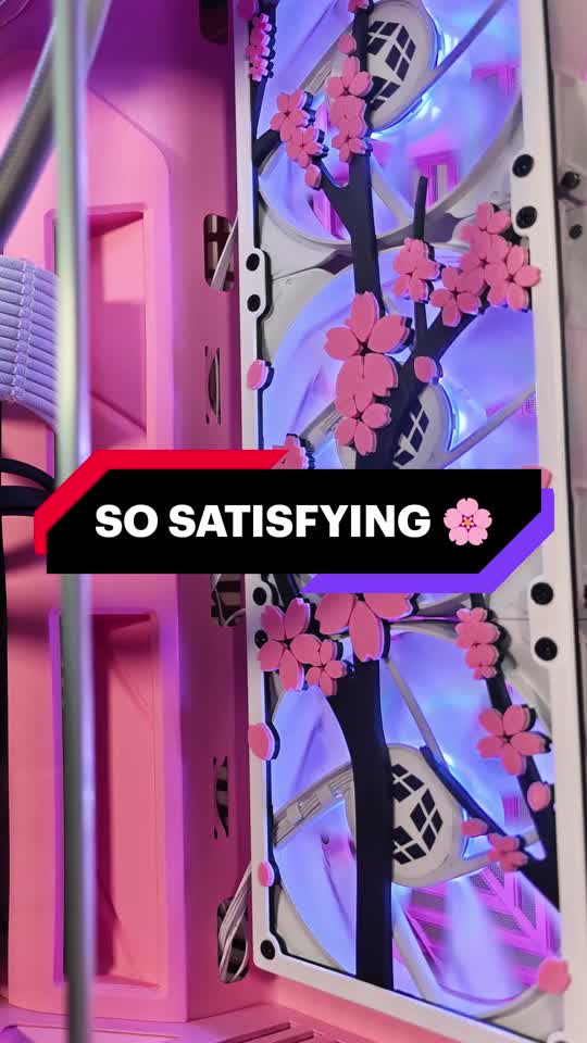 XOTIC PC Sakura Y70 Black Label Gaming PC | Configure to Intel