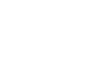 SKINN 30 Day Promise